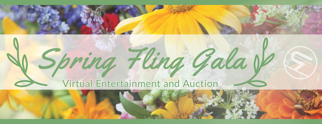 GMVS Spring Fling Silent Auction